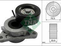 Intinzator curea transmisie 534 0606 10 INA pentru Nissan Navara Nissan Armada Nissan Pathfinder