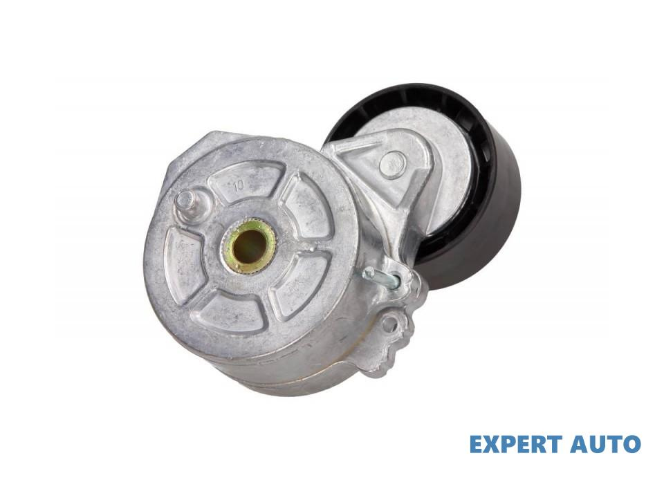 Intinzator,curea transmisie Fiat SCUDO Combinato (