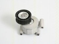 Intinzator,curea transmisie FORD FOCUS C-MAX, MAZDA 3 (BK), MAZDA AXELA limuzina (BK) - TRISCAN 8641 103022