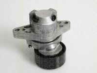 Intinzator,curea transmisie RENAULT LAGUNA I I (B56_, 556_), RENAULT LAGUNA I Estate (K56_), RENAULT MEGANE I (BA0/1_) - TRISCAN 8641 253008