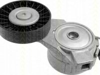 Intinzator,curea transmisie SAAB 9-5 limuzina (YS3E), SAAB 9-3 (YS3D), SAAB 9-3 Cabriolet (YS3D) - TRISCAN 8641 653001