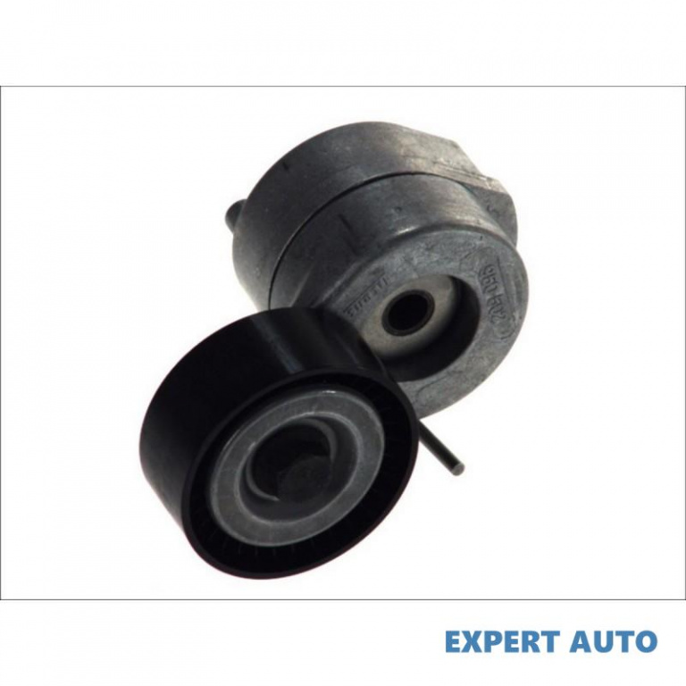 Intinzator,curea transmisie Suzuki SWIFT IV (FZ, NZ) 2010-2016 #2 1754085E00