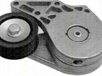 Intinzator,curea transmisie VW PASSAT (3A2, 35I), VW PASSAT Variant (3A5, 35I), VW GOLF Mk III (1H1) - TRISCAN 8641 103007