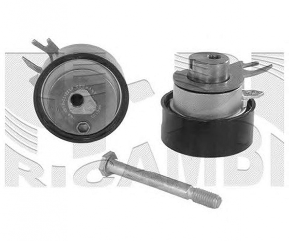Intinzator curea VW BORA 1J2 CALIBER 76669