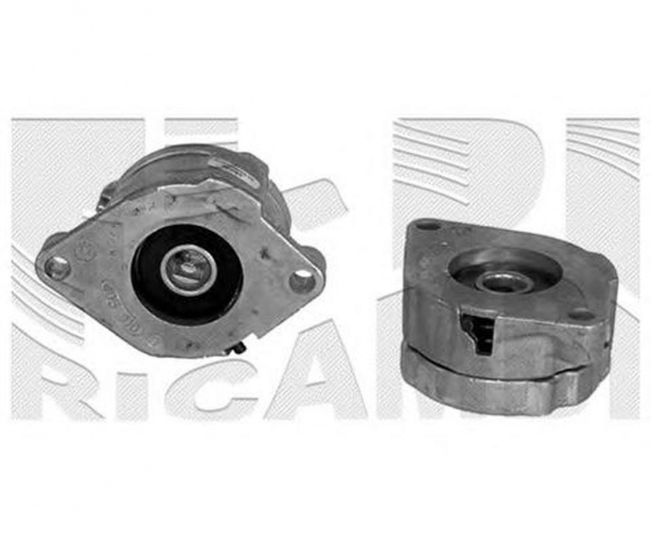 Intinzator curea VW PASSAT Variant 3A5 35I CALIBER 17066