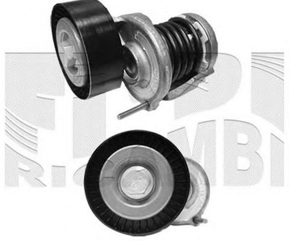 Intinzator curea VW SHARAN 7N1 7N2 CALIBER 20663