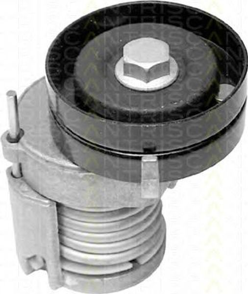 Intinzator curea VW VENTO 1H2 TRISCAN 8641291003