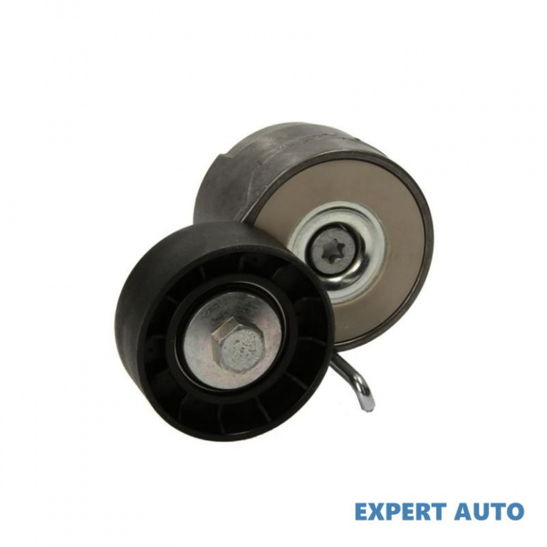 Intinzator distributie Suzuki SWIFT IV (FZ, NZ) 2010-2016 #2 101005