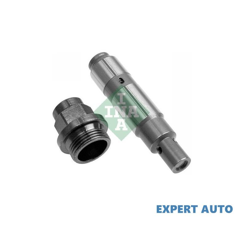 Intinzator,lant distributie BMW 5 (E39) 1995-2003 