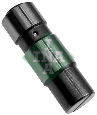 Intinzator,lant distributie partea de jos (551000610 INA) FORD