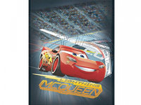 Jaluzea auto pentru geamurile laterale Disney Cars Neon, 54,5x41 cm , 1 buc. CASAA116