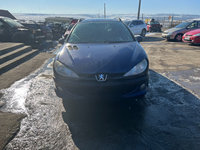 Jante tabla 14 Peugeot 206 2002 break 1360 benzina