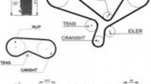 K015557xs kit gates pt audi,vw passat doar mo