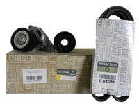 Kit accesorii Original Dacia Logan Sandero motor 1.4 1.6 cu Ac.