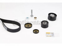 Kit curea distributie Renault AVANTIME (DE0_) 2001-2003 #2 130C11321R