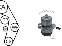 Kit distributie cu pompa apa VW PASSAT (3B3) (2000 - 2005) AIRTEX WPK-177405