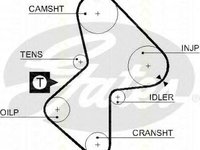 Kit distributie RENAULT LAGUNA I Grandtour K56 TRISCAN 864725012