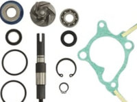 Kit reparatie Pompa apa motocicleta HONDA FES 250 1998-1998