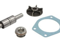 Kit reparatie Pompa apa motocicleta VOLVO 320, 400, 430