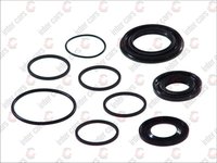 Kit reparatie / simeringuri caseta directie CITROEN BERLINGO, Xara, Picasso (TRW VALVE)