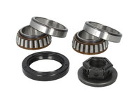 Kit rulment roata FORD ESCORT 1995-2000 SKF VKBA3666