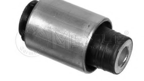 Lagar, fixare ax BMW Z4 (E85) (2003 - 2009) M