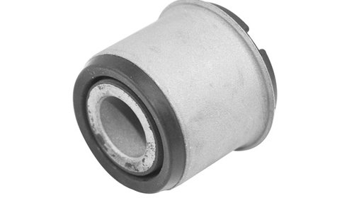 Lagar, suport ax spate (TED30369 TED) FORD,VO