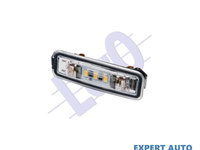 Lampa numar inmatriculare Ford FOCUS Clipper (DNW) 1999-2007 #2 01733900
