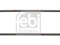 Lant distributie FEBI BILSTEIN 49733