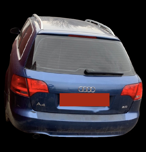 Litrometru Audi A4 B7 [2004 - 2008] Avan