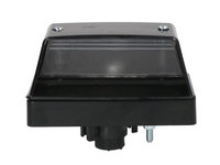 Lumina placutei de înmatriculareing IVECO DAILY III CITROEN JUMPER FIAT DUCATO PEUGEOT BOXER 05.99-07.07 OLSA OL2.45.052.00