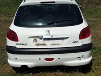 Luneta Peugeot 206 din 2002