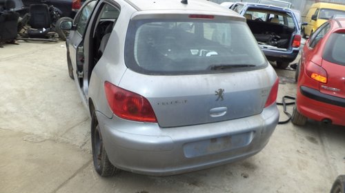 Luneta Peugeot 307