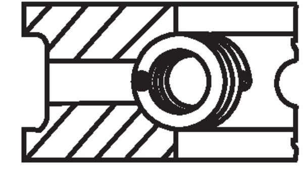 MAHLE Set segmenti piston 03061N0 model 