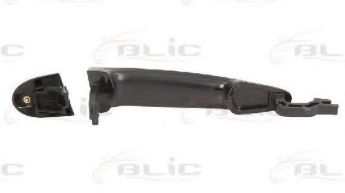 Maner usa BMW X5 (E70) (2007 - 2013) BLIC 6010-05-021403P