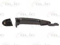 Maner usa BMW X6 E71 E72 BLIC 601005021403P