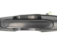 Maner usa Fata/Spate stanga (extern, prevopsit) CITROEN XSARA PICASSO 1.6-2.0 d 12.99-06.12