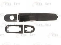 Maner usa FORD C-MAX DM2 BLIC 601003039401P