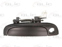 Maner usa KIA RIO II (JB) (2005 - 2016) BLIC 6010-53-020401P