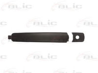 Maner usa NISSAN X-TRAIL (T31) (2007 - 2013) BLIC 6010-16-040401P