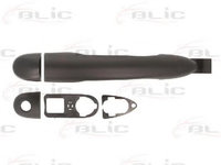 Maner usa RENAULT CLIO III (BR0/1, CR0/1) (2005 - 2016) BLIC 6010-09-049405P