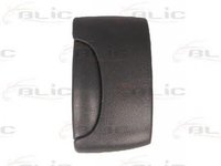 Maner usa RENAULT KANGOO Express FC0 1 BLIC 601009029410LP