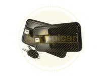 Maner usa RENAULT MASTER II caroserie (FD) (1998 - 2010) AC Rolcar 42.2507 piesa NOUA