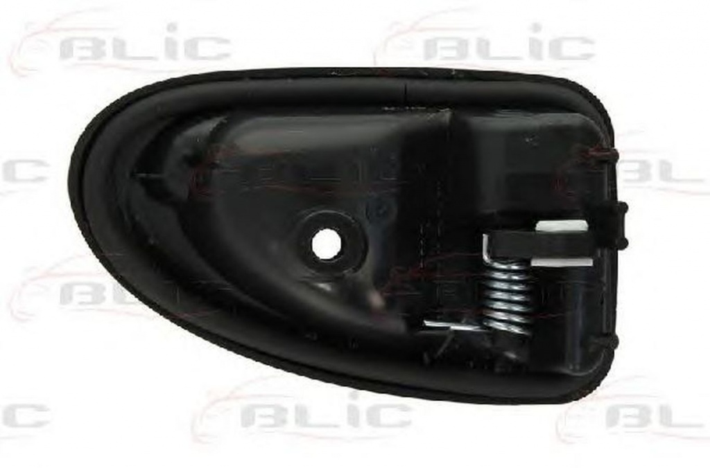 Maner usa RENAULT SCÉNIC I JA0 1 BLIC 601009032408P