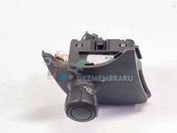 Maneta tempomat Renault Scenic 2 [Fabr 2003-2008] 8200206738