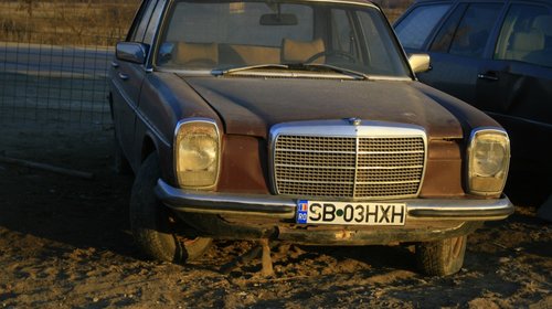 Mercedes cobra, bot de cal