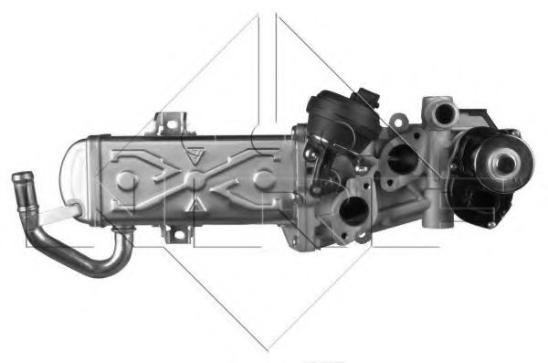Modul-EGR VW EOS (1F7, 1F8) (2006 - 2016) NRF 4821