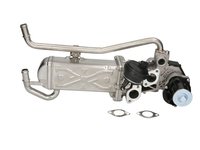 Modul-EGR VW POLO (6R1, 6C1) ENGITECH ENT500105