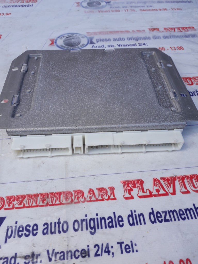 Modul Esp Mercedes A class an 2004 cod 0