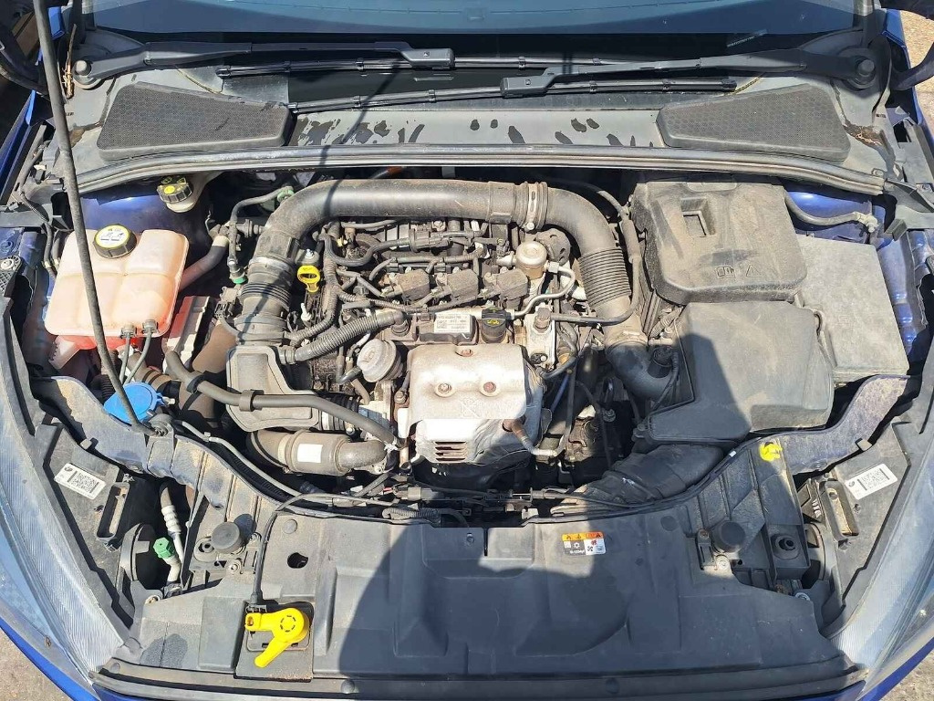 Ford Focus Motorlnull